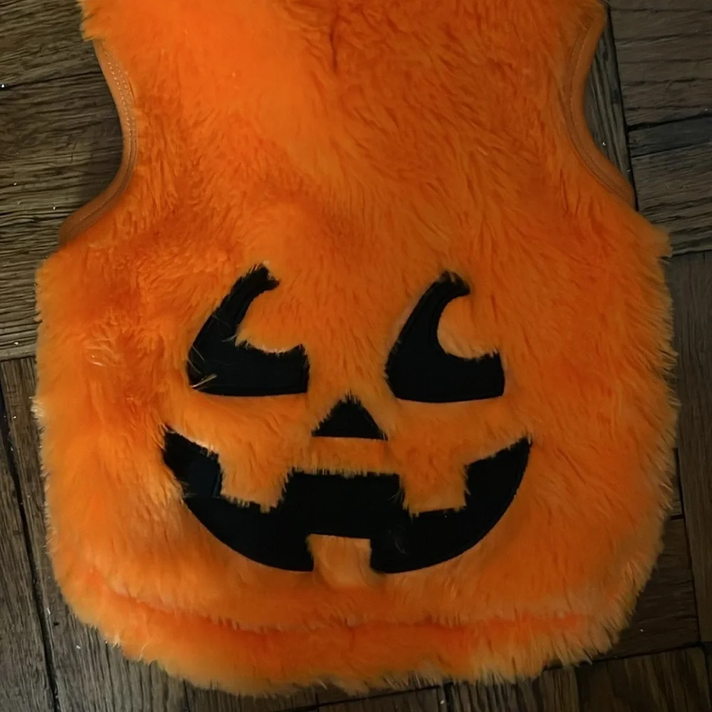 pumpkin costume size; M fits a shihpoo
